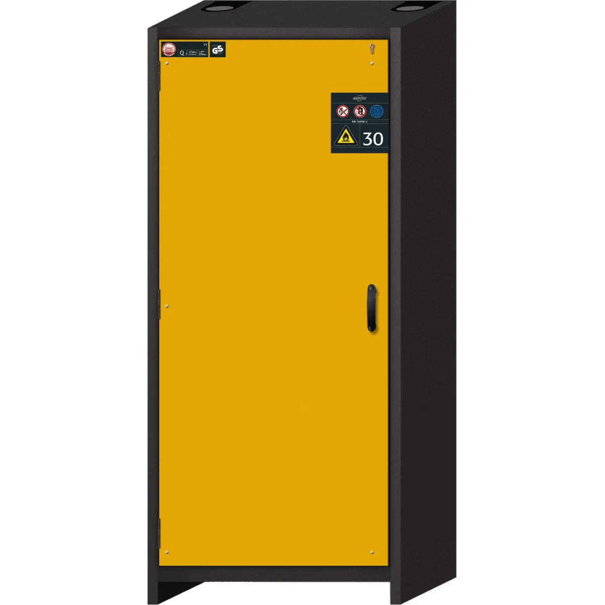 Armoire de sécurité chimique Q-30
